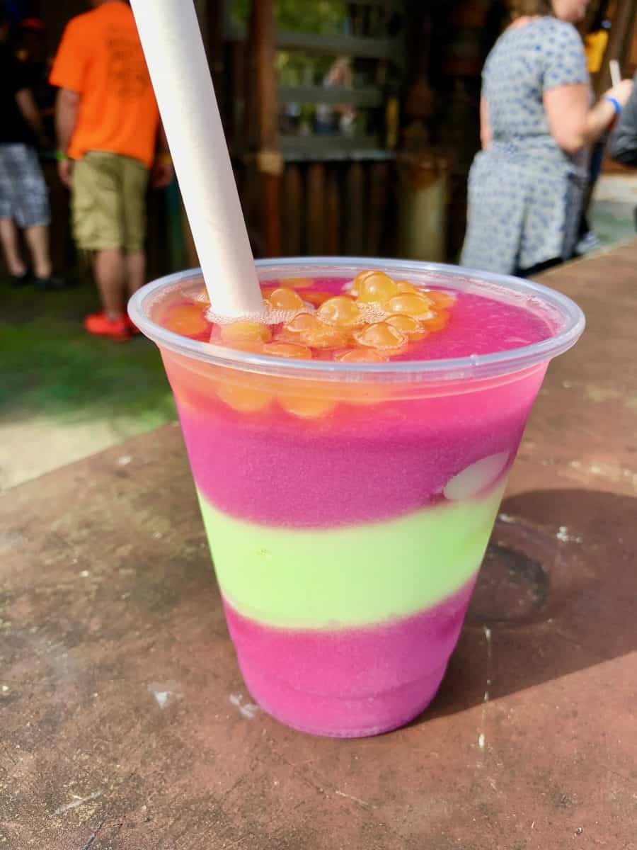 IMG_3292 WDW News Today