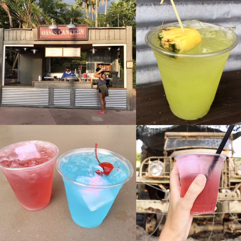 PHOTOS, REVIEW New Oasis Canteen Beverage Kiosk Now Open at Disney's