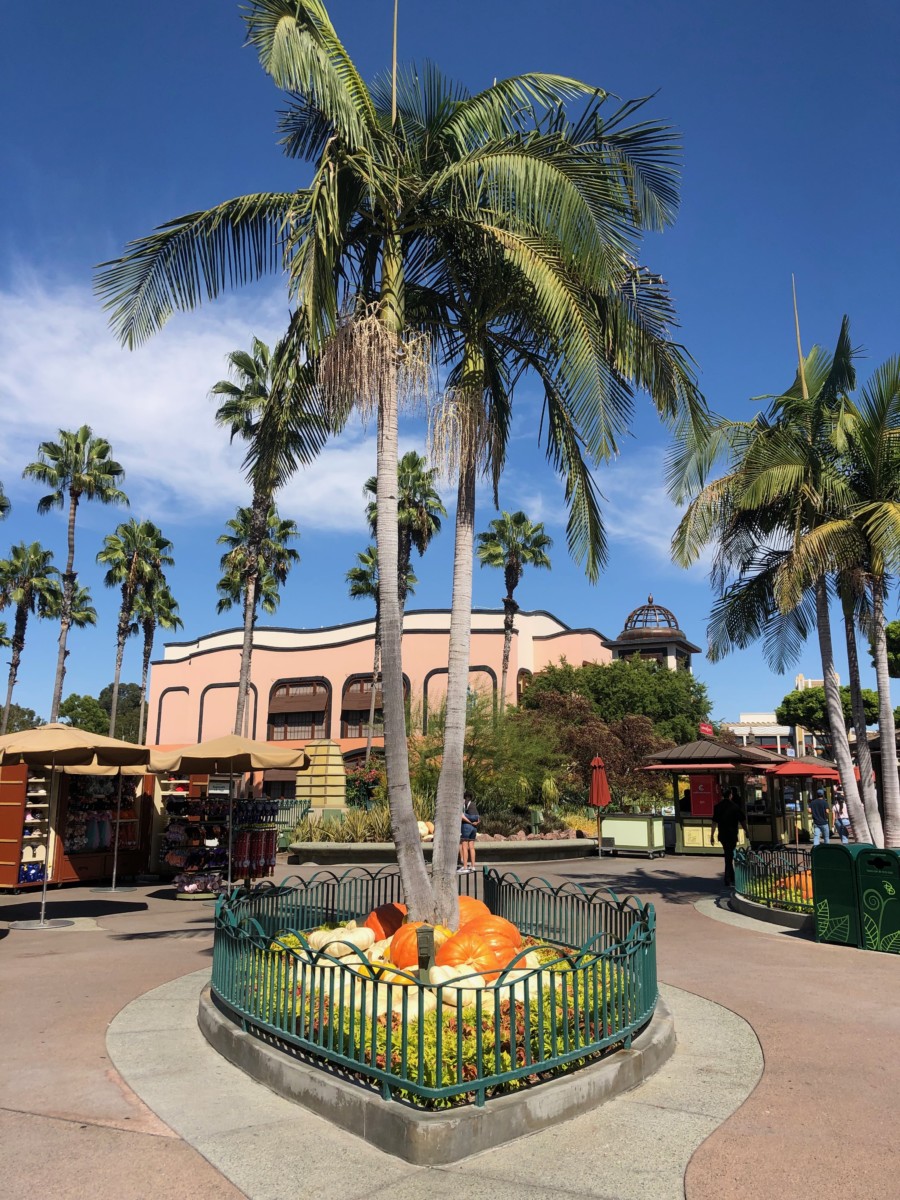 Downtown Disney Halloween Decor 01