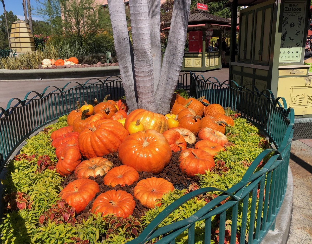 Downtown Disney Halloween Decor 03