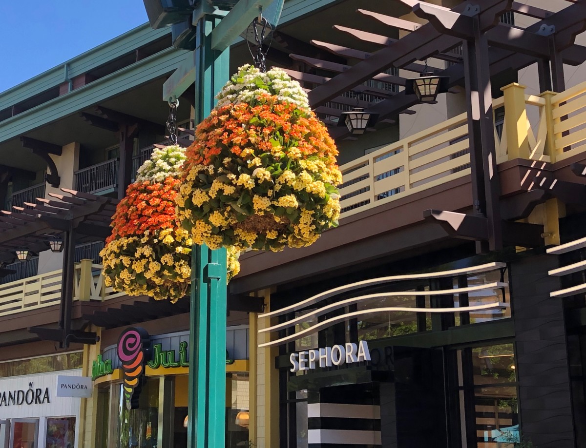 Downtown Disney Halloween Decor 09