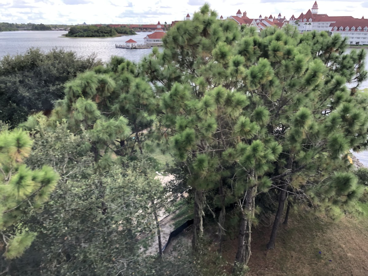 grand floridian walkway construction update oct 2019 17