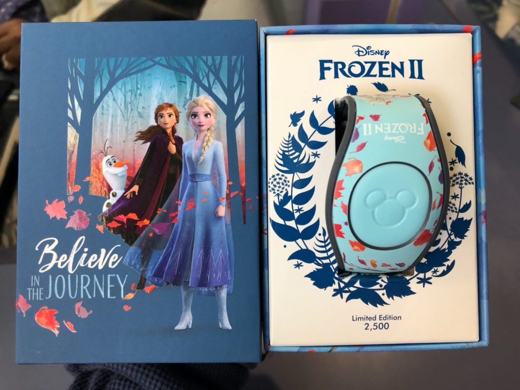 anna elsa magicband frozen 2 scaled