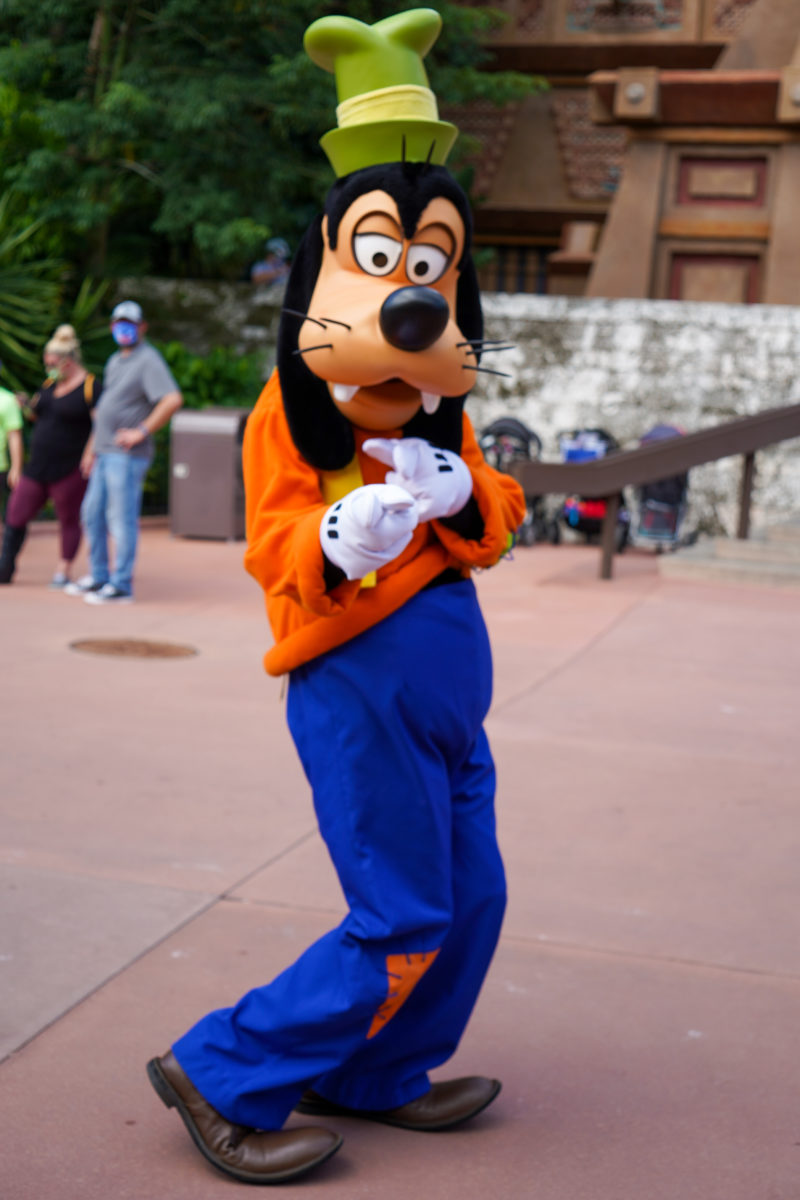 Goofy During Mickey and Friends World Tour Character Cavalcade 8 1 20