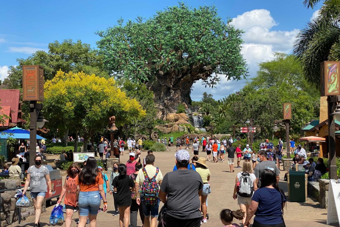 BREAKING Walt Disney World Theme Parks Now Operating at 35 Capacity