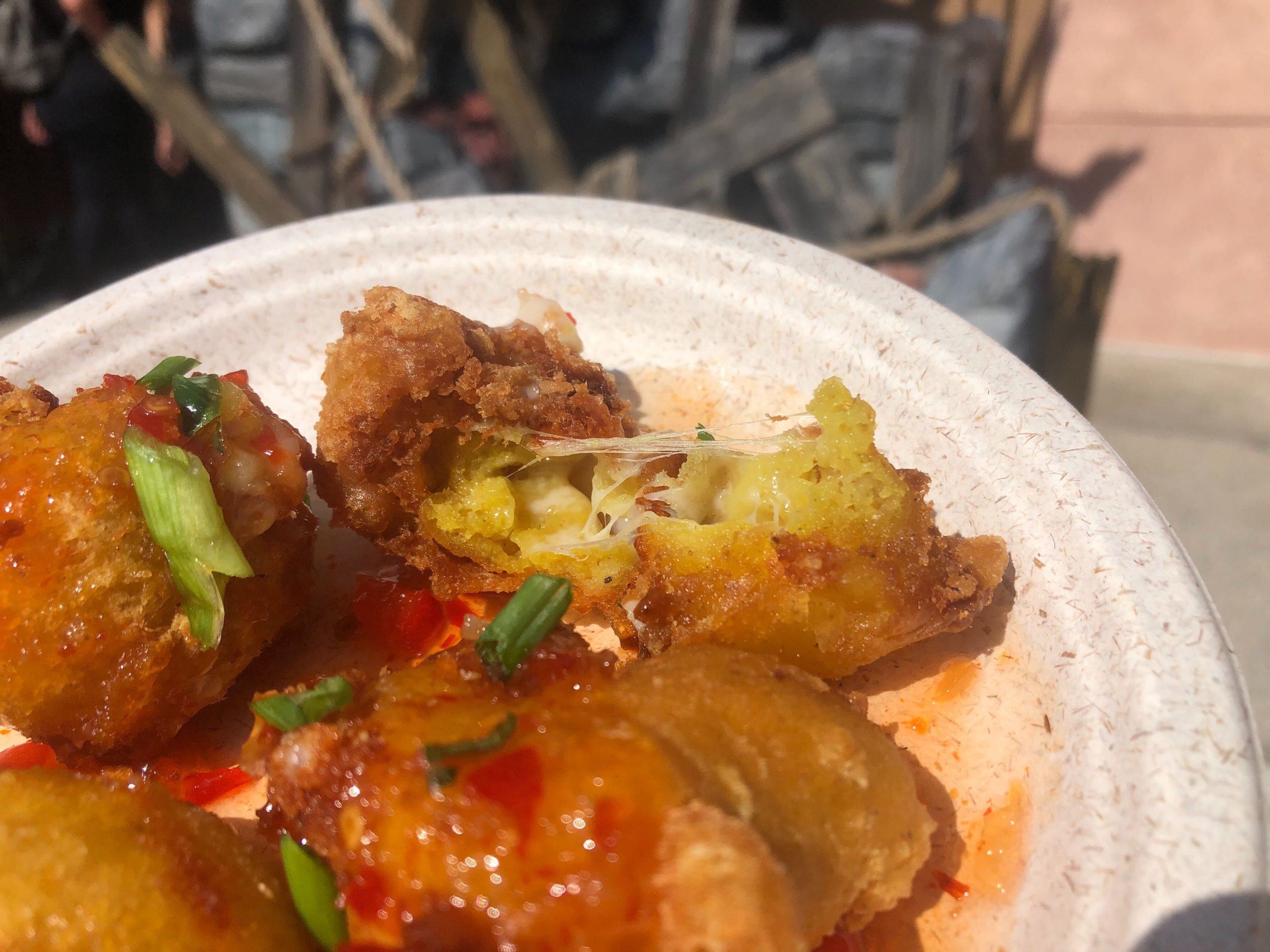 food truck cheese curds 11 WDW News Today