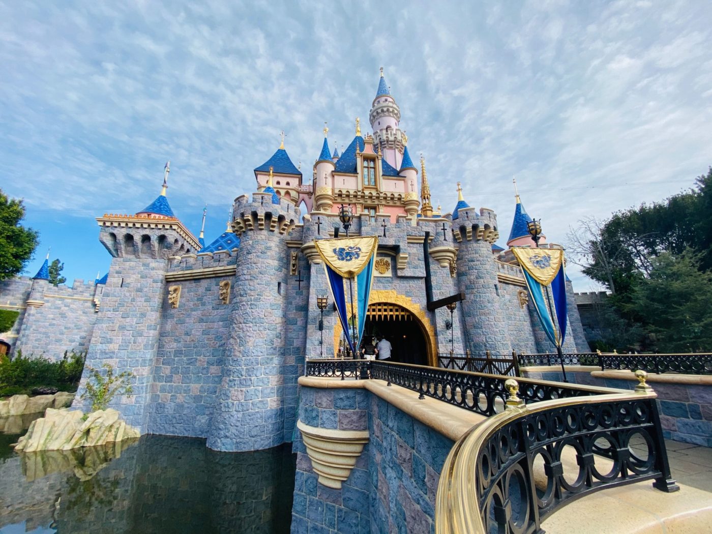 “Open Disneyland” Rally Planned on October 17th as Resort Awaits