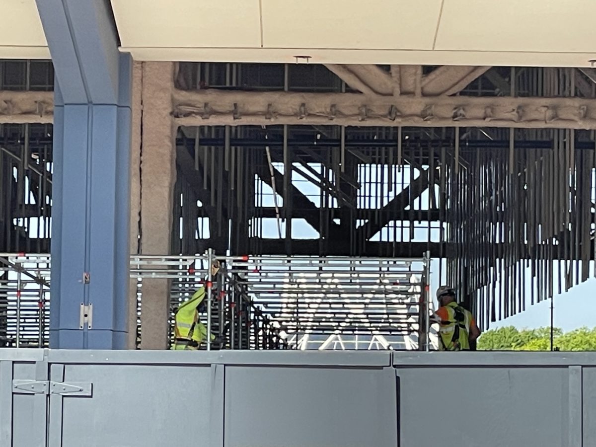 PHOTO REPORT: EPCOT 3/24/21 (S'mores Brownie Returns, Maquettes, Bowmouth Guitarfish Species Survival Plan, Construction Updates, and More) 5 img_5254-7517889
