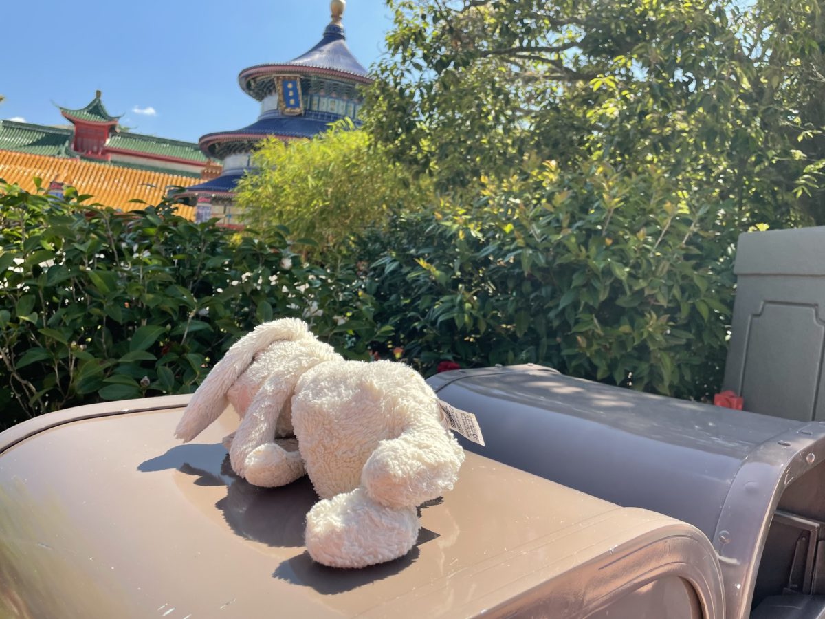 PHOTO REPORT: EPCOT 3/24/21 (S'mores Brownie Returns, Maquettes, Bowmouth Guitarfish Species Survival Plan, Construction Updates, and More) 9 img_5287-2196367