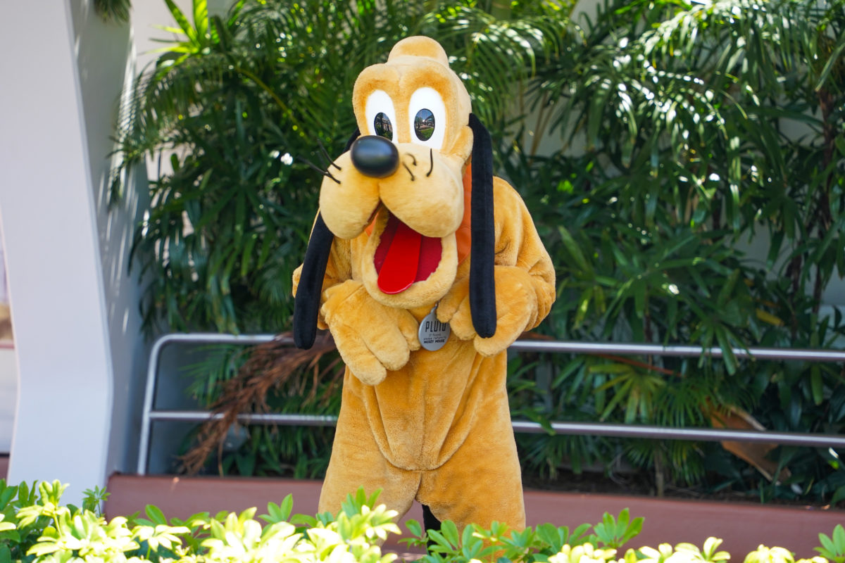 PHOTO REPORT: EPCOT 5/9/21 (More "Points of Light", Construction of "Creations Shop" Progresses, Distanced Character Meets, and More) 40 pluto-meet-greet-5-9-21-1-7782872