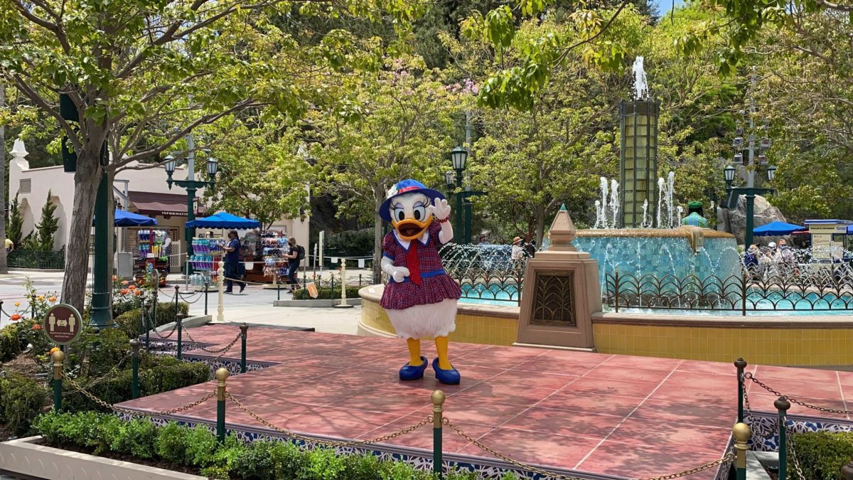 daisy-duck-carthay-circle-meet-and-greet-6