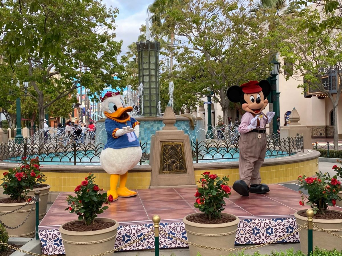 mickey-donald-carthay-circle-distanced-meet-and-greet