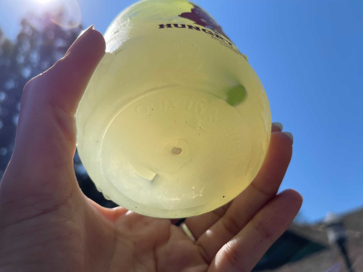 PHOTOS: New Humphrey the Bear Cup Debuts at Hungry Bear Restaurant at Disneyland 12 disney-california-adventure-hungry-bear-restaurant-humphrey-cup-12-2512698