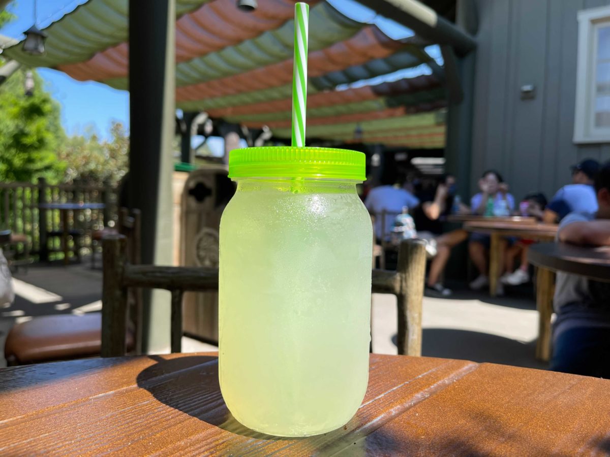 PHOTOS: New Humphrey the Bear Cup Debuts at Hungry Bear Restaurant at Disneyland 9 disney-california-adventure-hungry-bear-restaurant-humphrey-cup-8-8816938