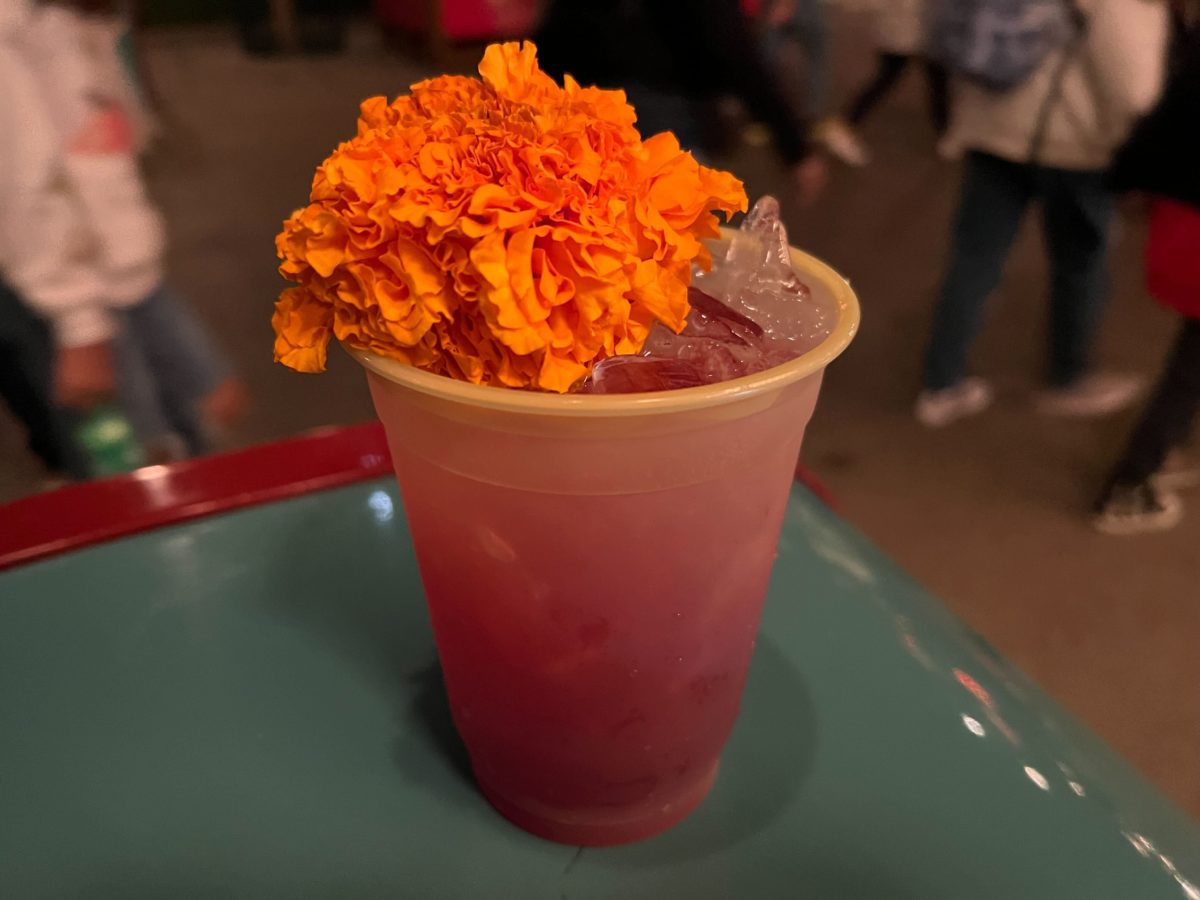 REVIEW: Chana Masala, Hibiscus Ginger Mezcal Mule From Favorite Things Marketplace at Disney California Adventure Festival of Holidays 2021 18 favorite-things-marketplace-festival-of-holidays-review-16-4472924