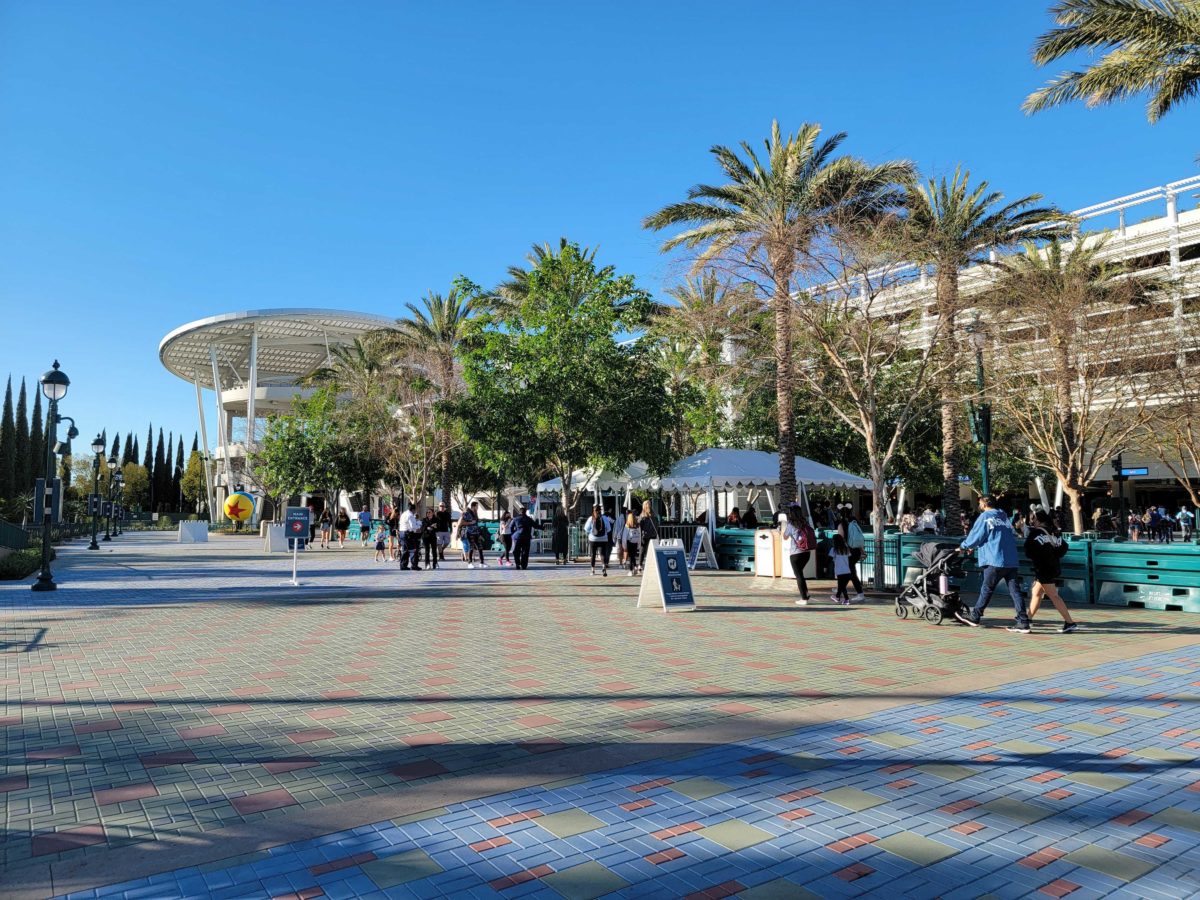 Disneyland security 083643