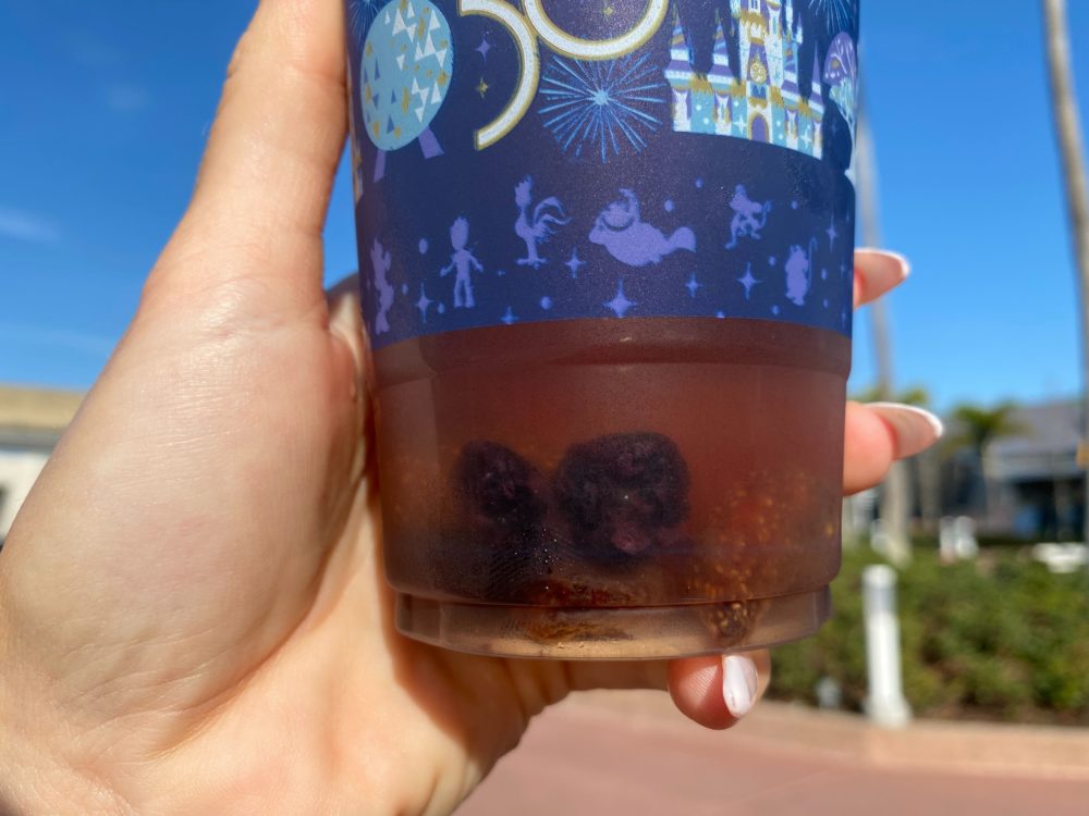 Joffrey’s Coffee & Tea Company - EPCOT International Flower & Garden Festival 20 joffreys minty melon refresher 7