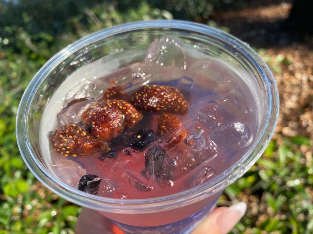 Joffrey’s Coffee & Tea Company - EPCOT International Flower & Garden Festival 16 joffreys pink paradise refresher 4