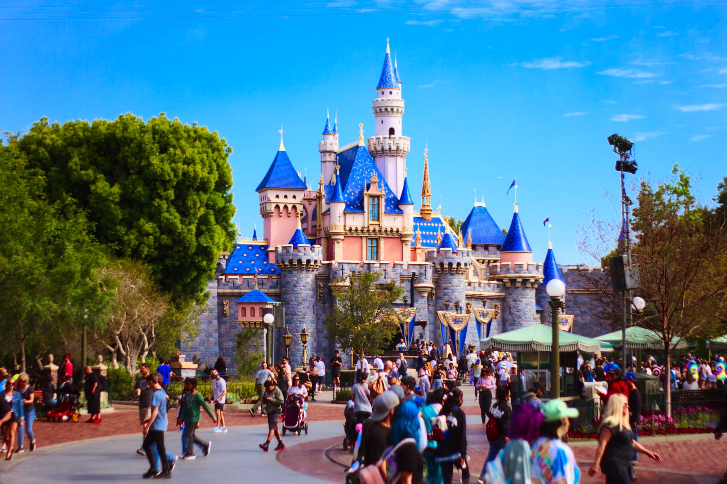 Disneyland Crime Reports Include Bomb Threat Animal Cruelty Fighting 