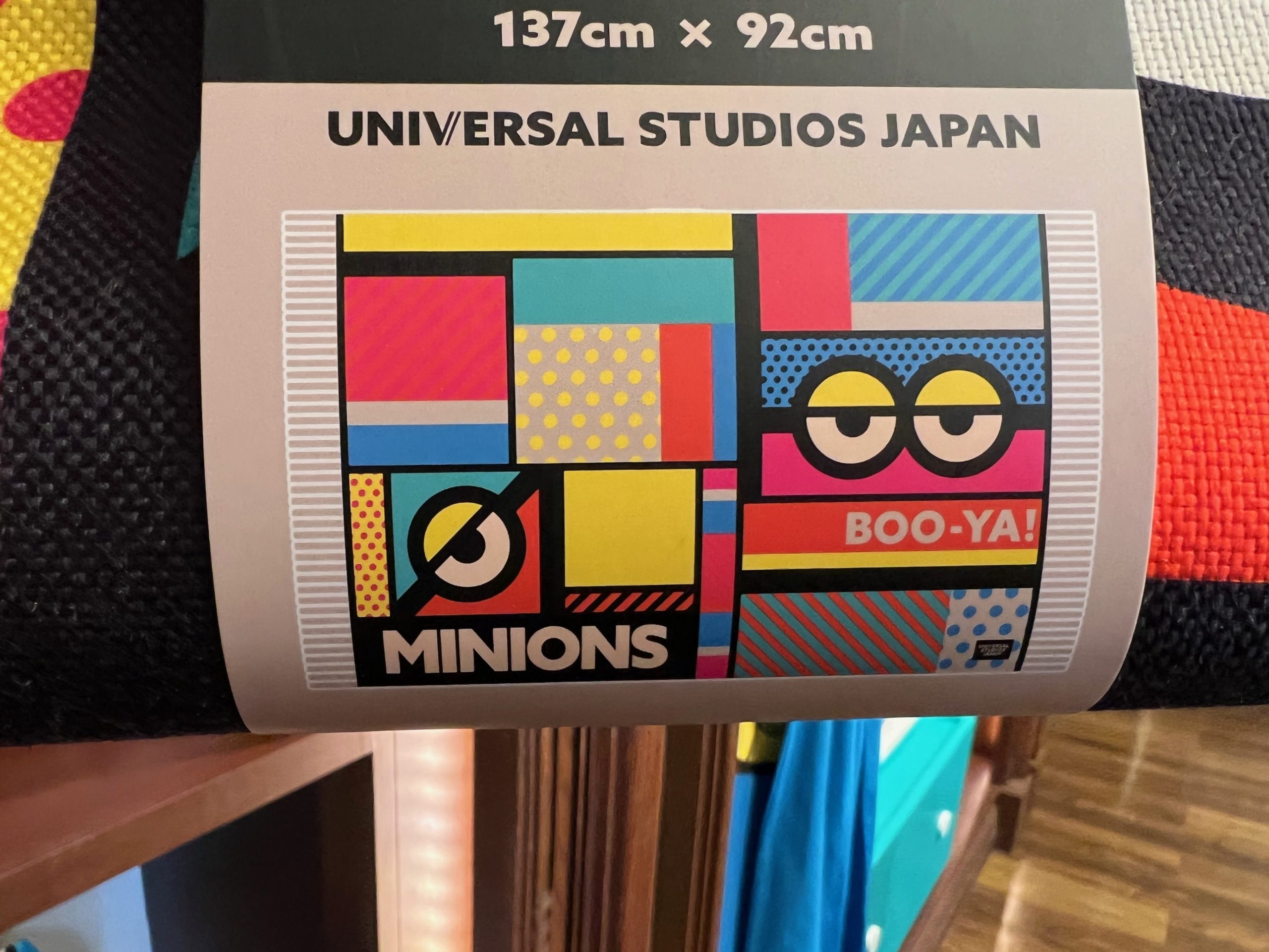 This image has an empty alt attribute; its file name is USJ_MinionsAtHome_14.jpeg