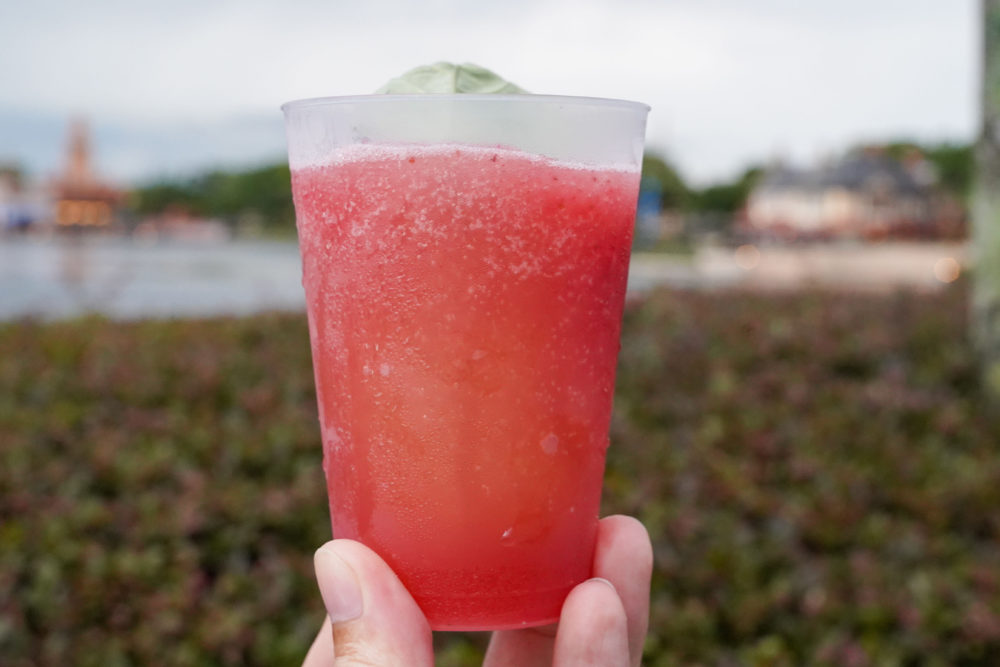 Earth Eats - EPCOT International Food & Wine Festival 11 earth eats strawberry freeze non alcoholic 1