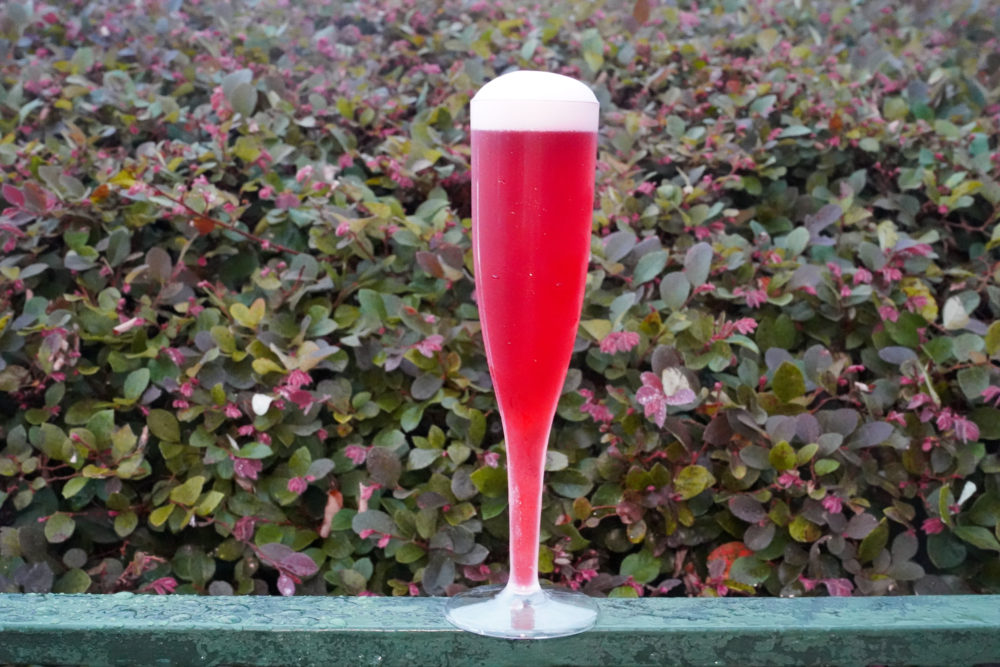 Shimmering Sips - EPCOT International Food & Wine Festival 13 shimmering sips berry sour ale mimosa 1