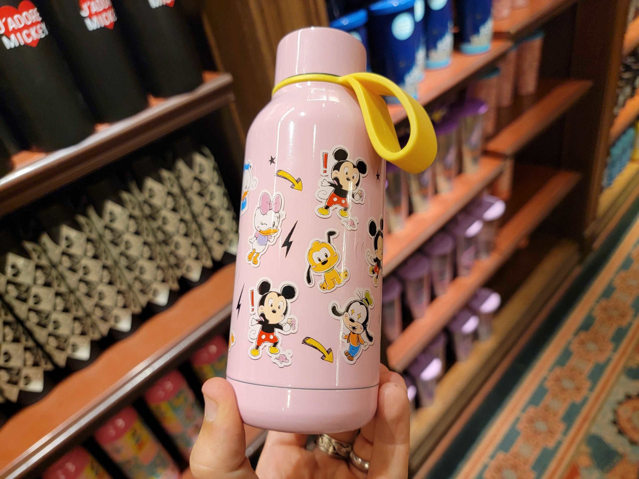 Water Bottles, Canteens, Mugs with Mickey Mouse, The Fab Five, Cars, Disney  Carousels, Ursula, & Oogie Boogie Available at Disneyland - Disneyland News  Today