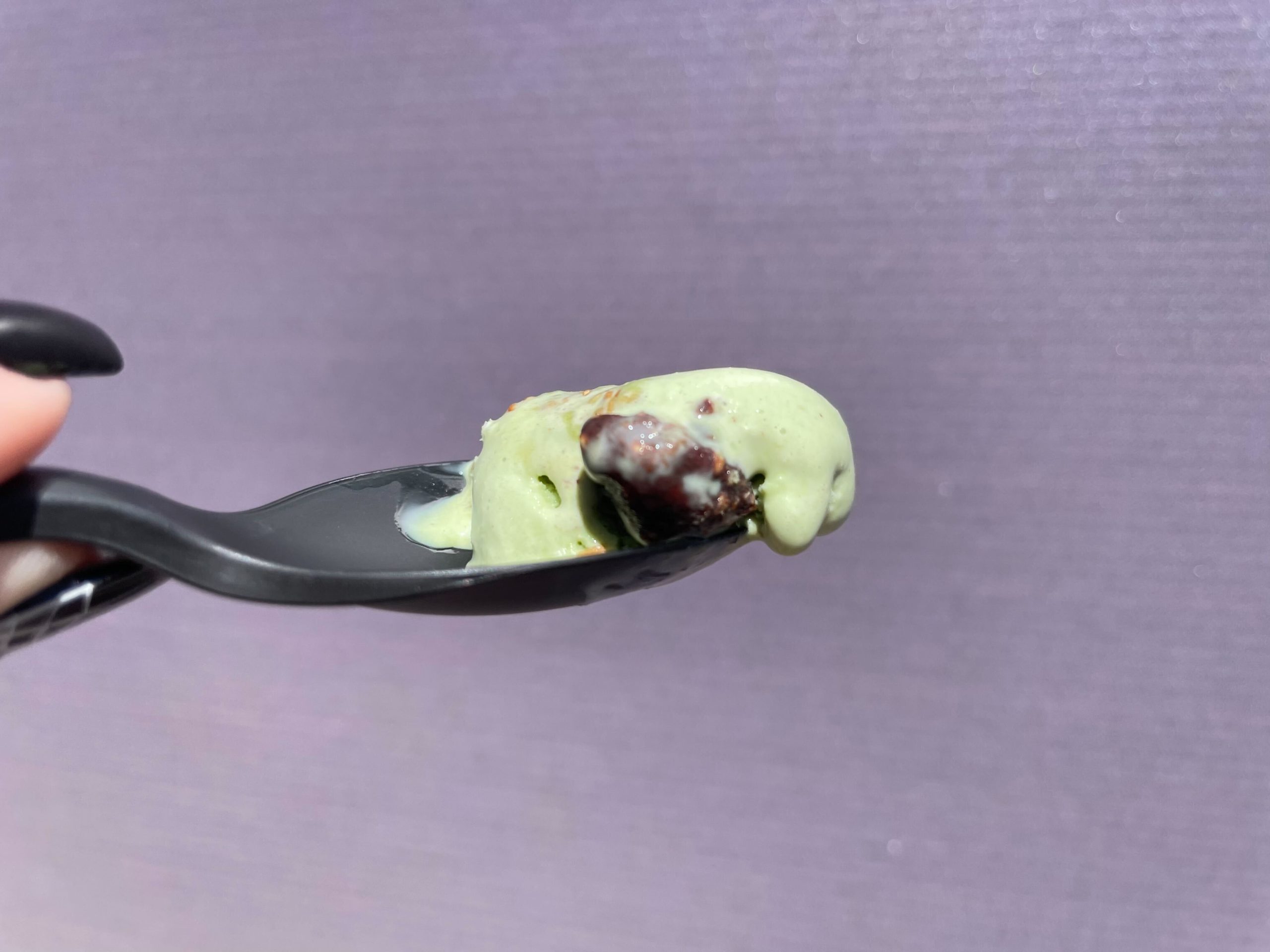 Spoon with a bite of Salt & Straw Creepy Crawly Critters matcha ice cream with chocolate-covered bugs.