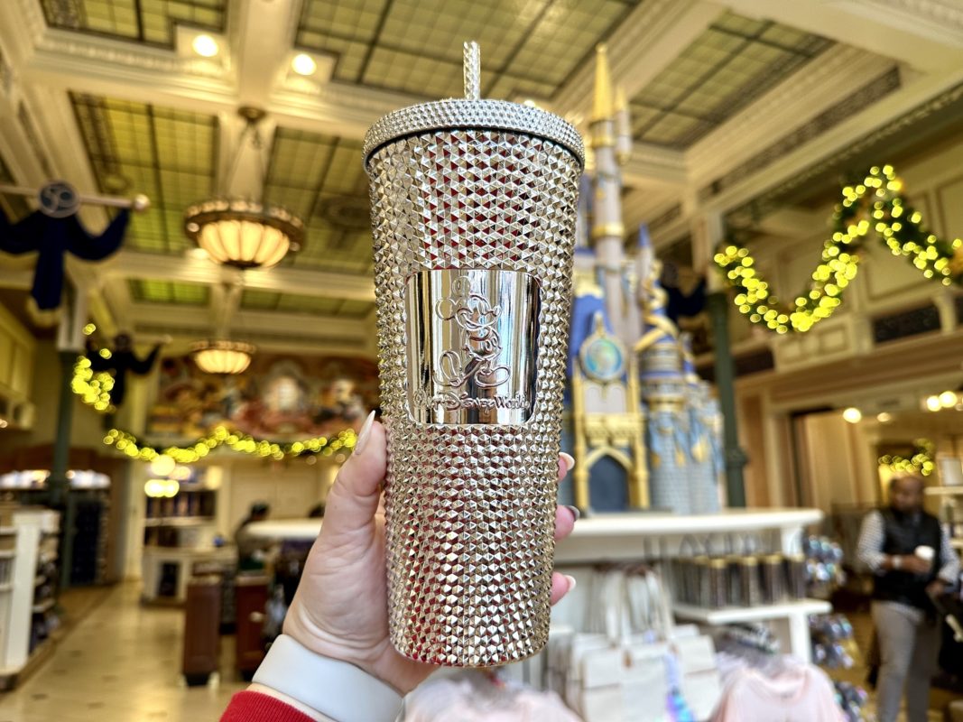 Disney100Tumbler