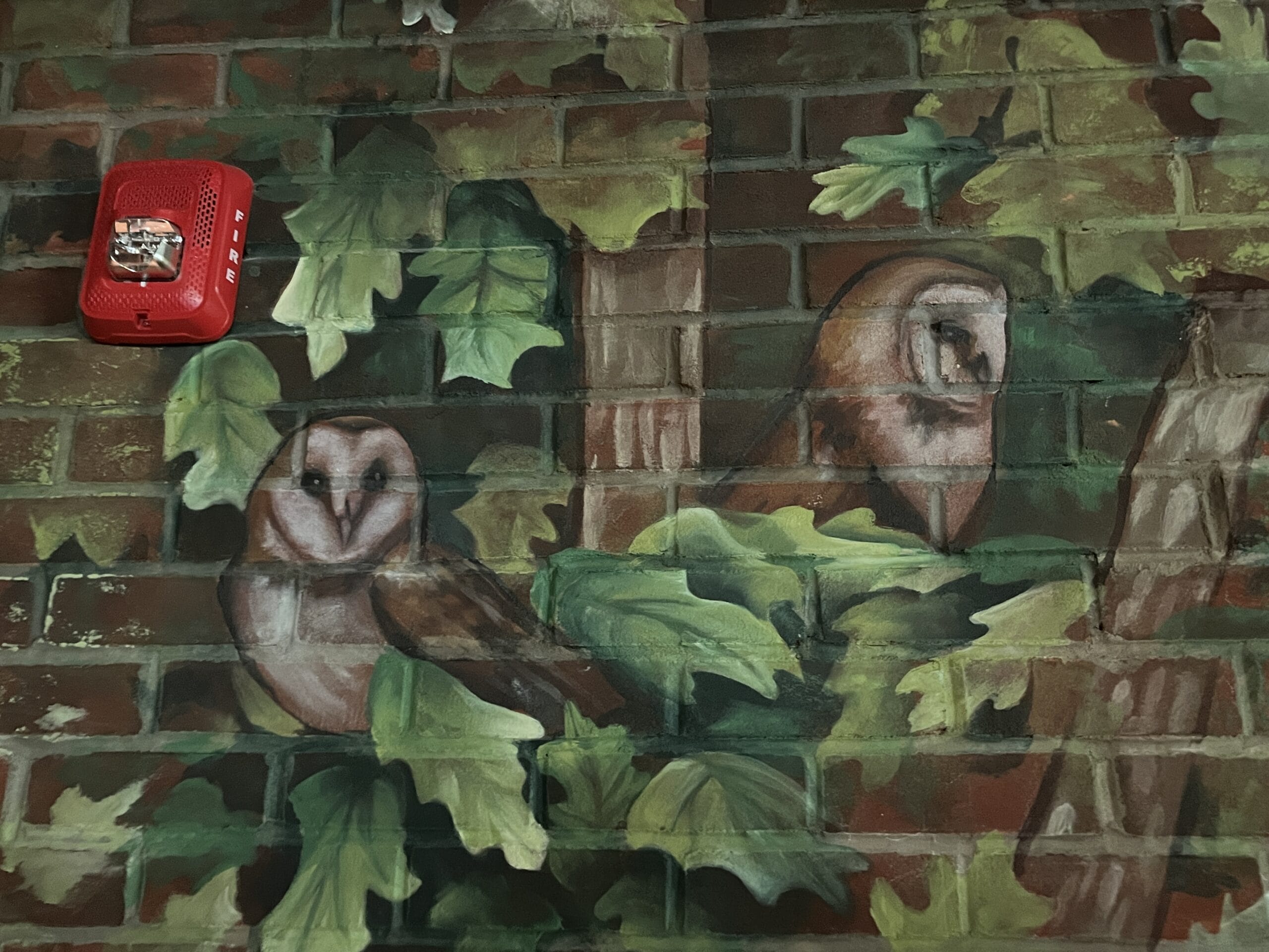 Two barn owls perch on a leafy brick wall at The Oak & Star Tavern, beneath a red fire alarm—no Disney castle seen here.