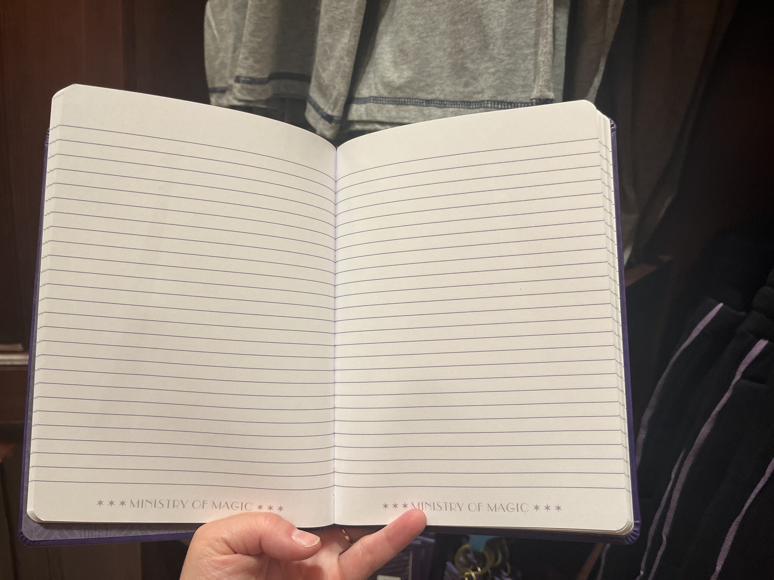 A hand holds a lined notebook labeled "Ministry of Magic," perfect for Harry Potter merchandise collectors.