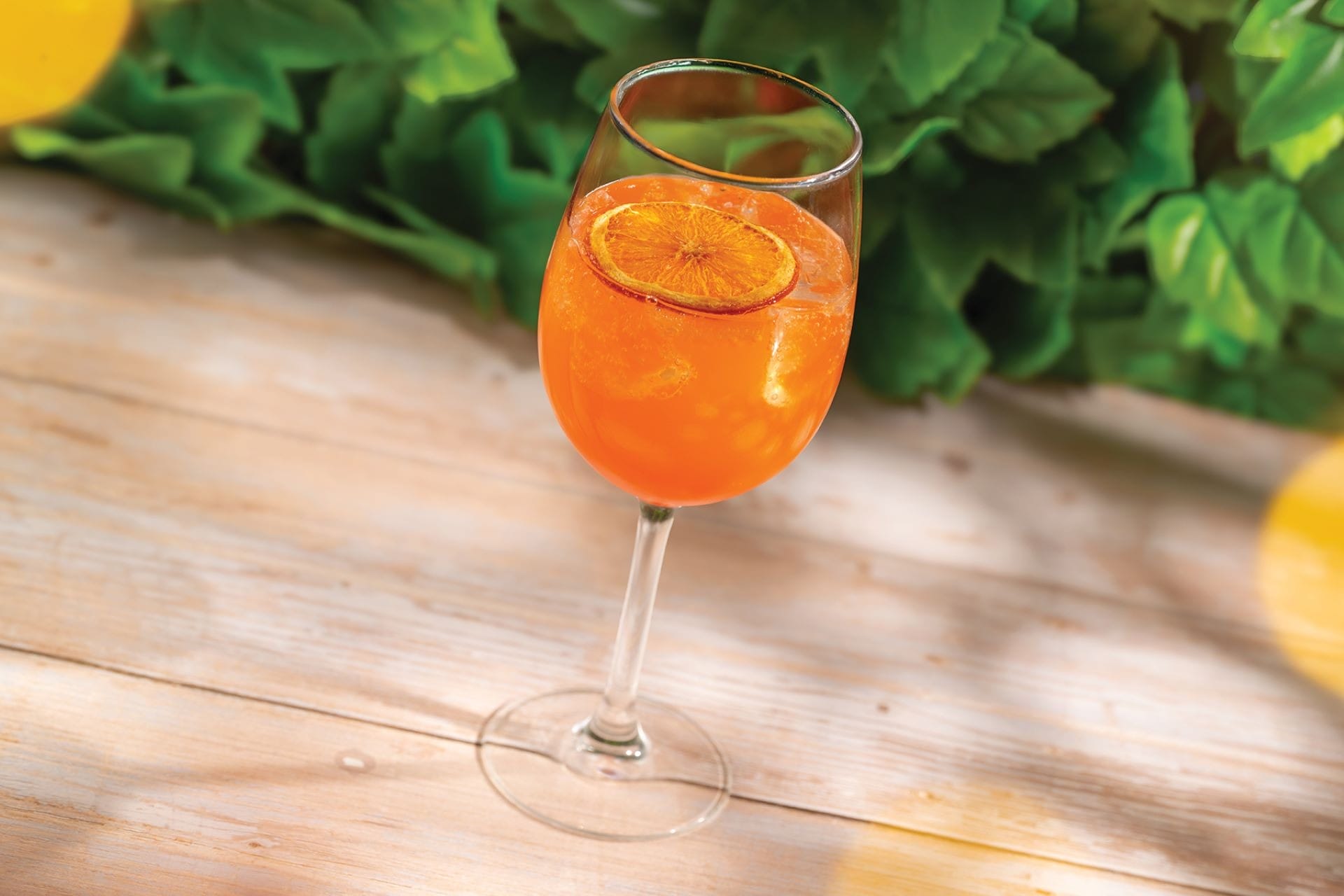 A glass of orange cocktail with ice and a dried orange slice, set on a wooden table with green leaves in the background.