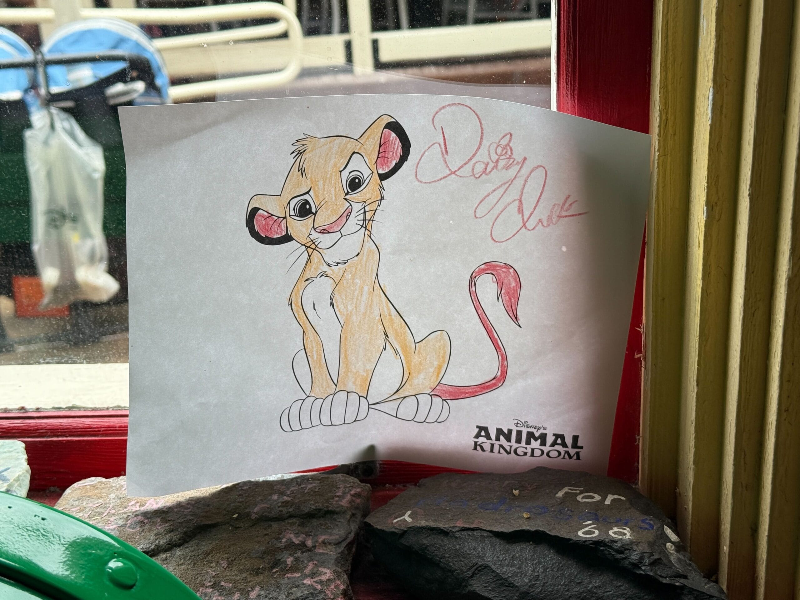 Drawing of Simba from The Lion King, signed, on a windowsill with photos from Daisy's Dig below.