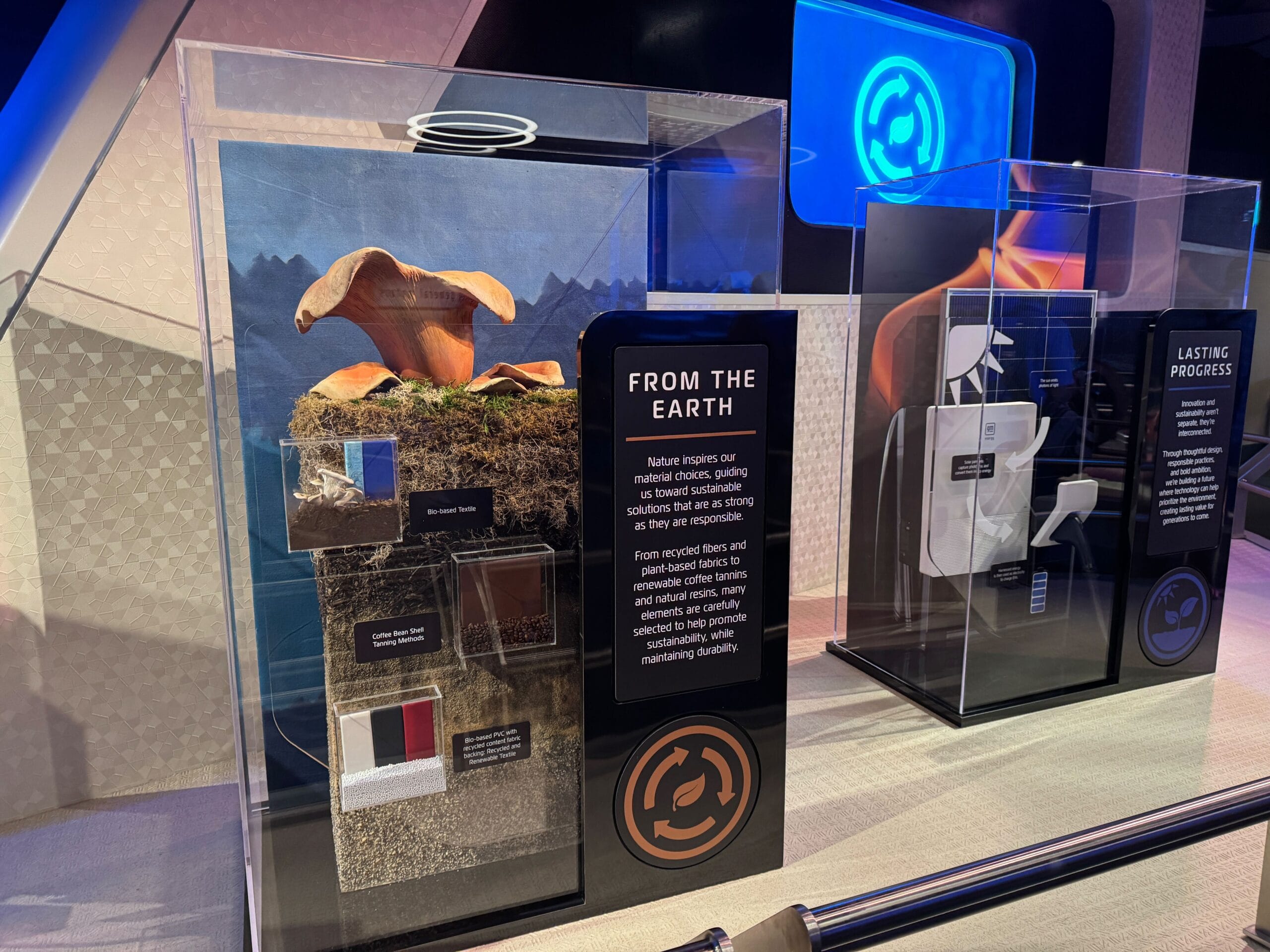 A museum display on Test Track features mushrooms, fabric swatches, and sustainable materials inspired by nature.