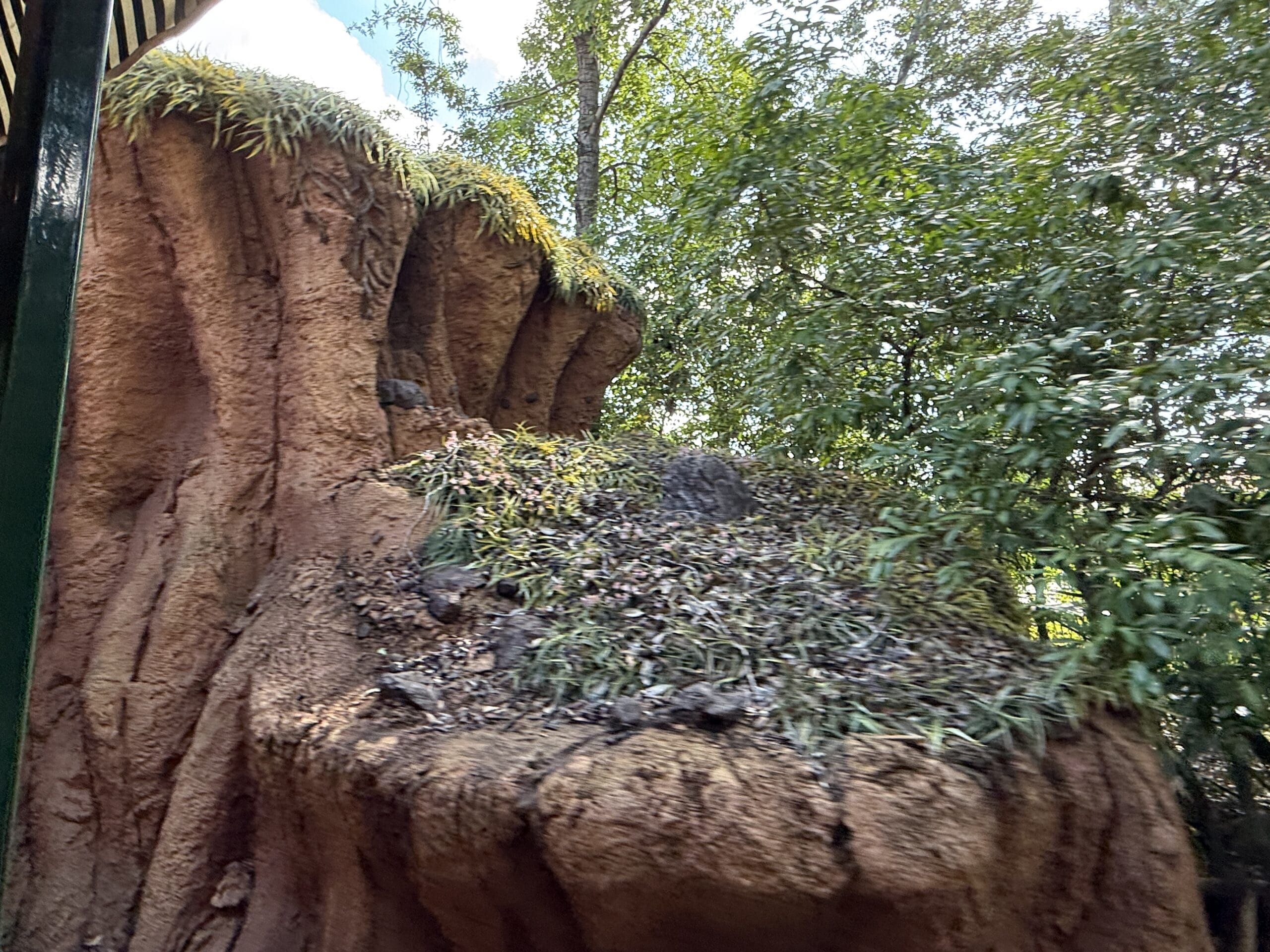 Large brown artificial rock with grass patches, near Frontierland Station closure on Walt Disney World Railroad.