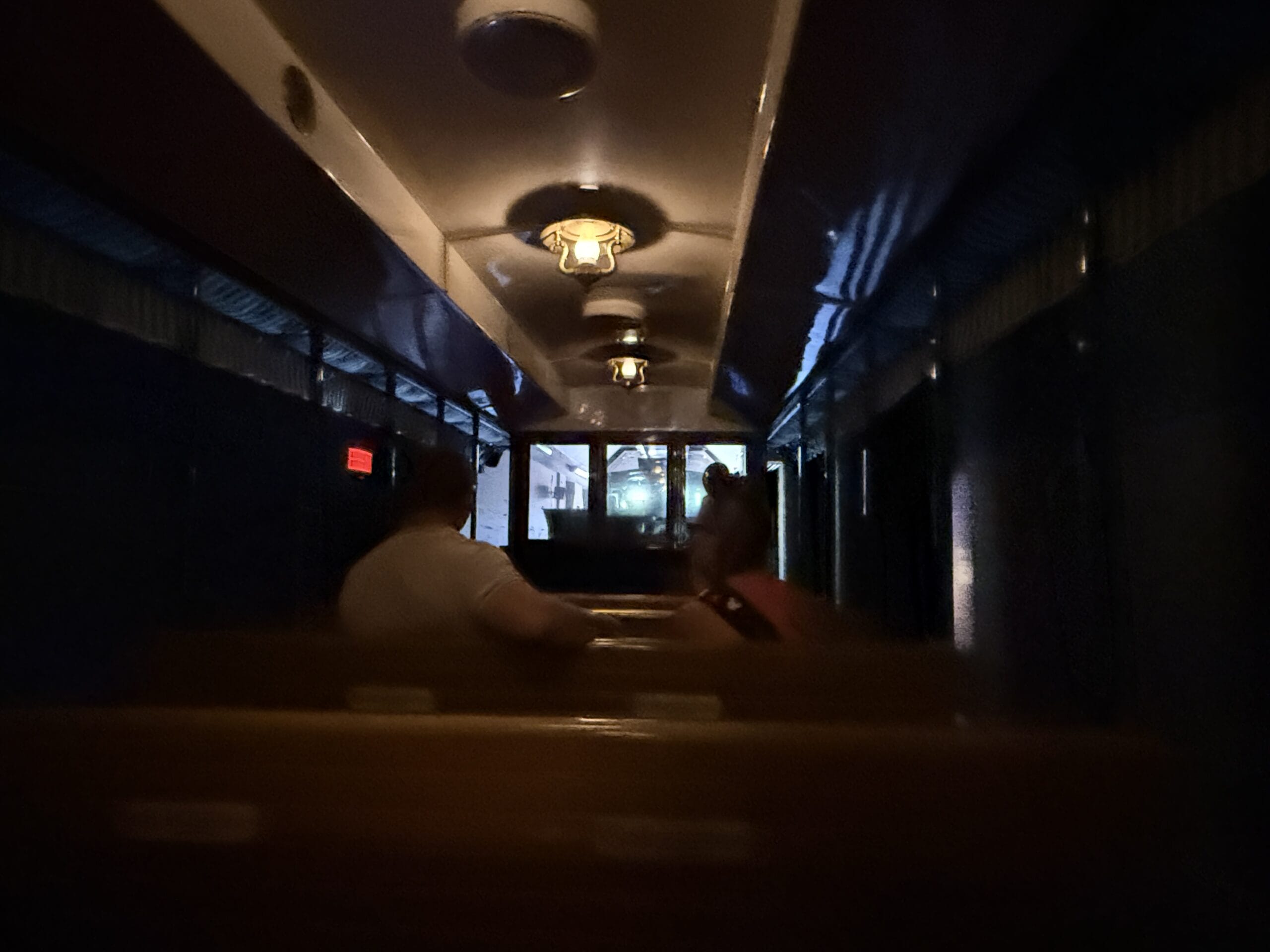 Two people sit on a dimly lit Walt Disney World Railroad ride, facing forward under overhead lights and dark blue walls.