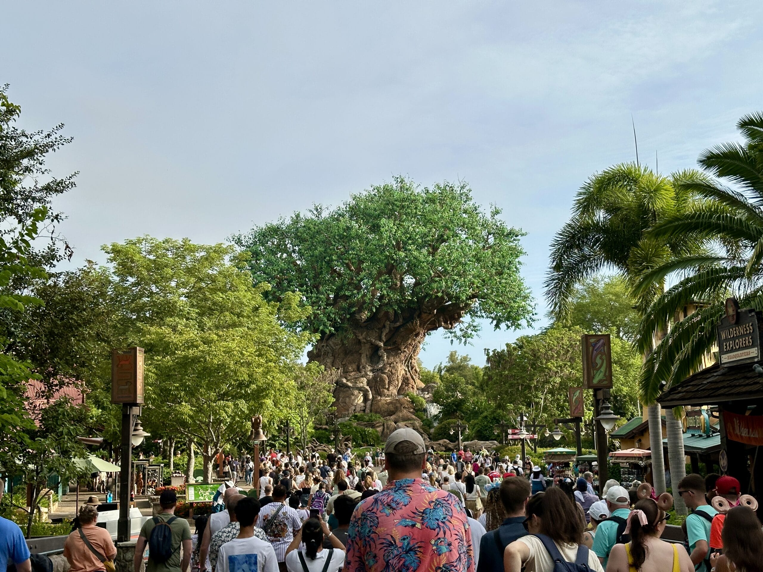 A crowd walks toward the Tree of Life at Animal Kingdom, surrounded by lush greenery on a sunny Disney World day.