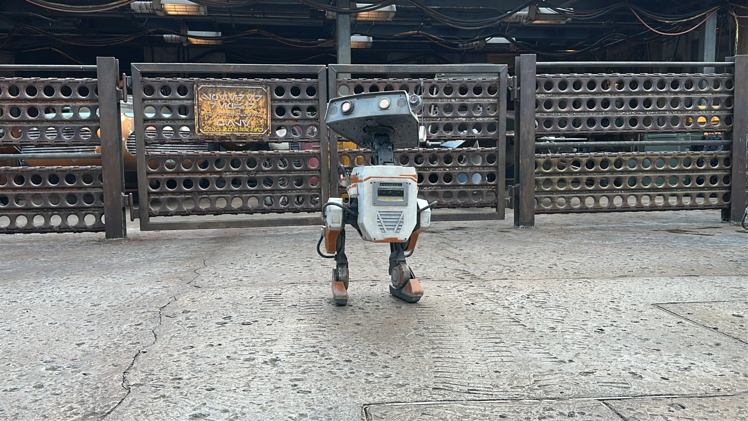 A small, boxy bdx droids robot stands on a concrete surface in front of an industrial metal fence.