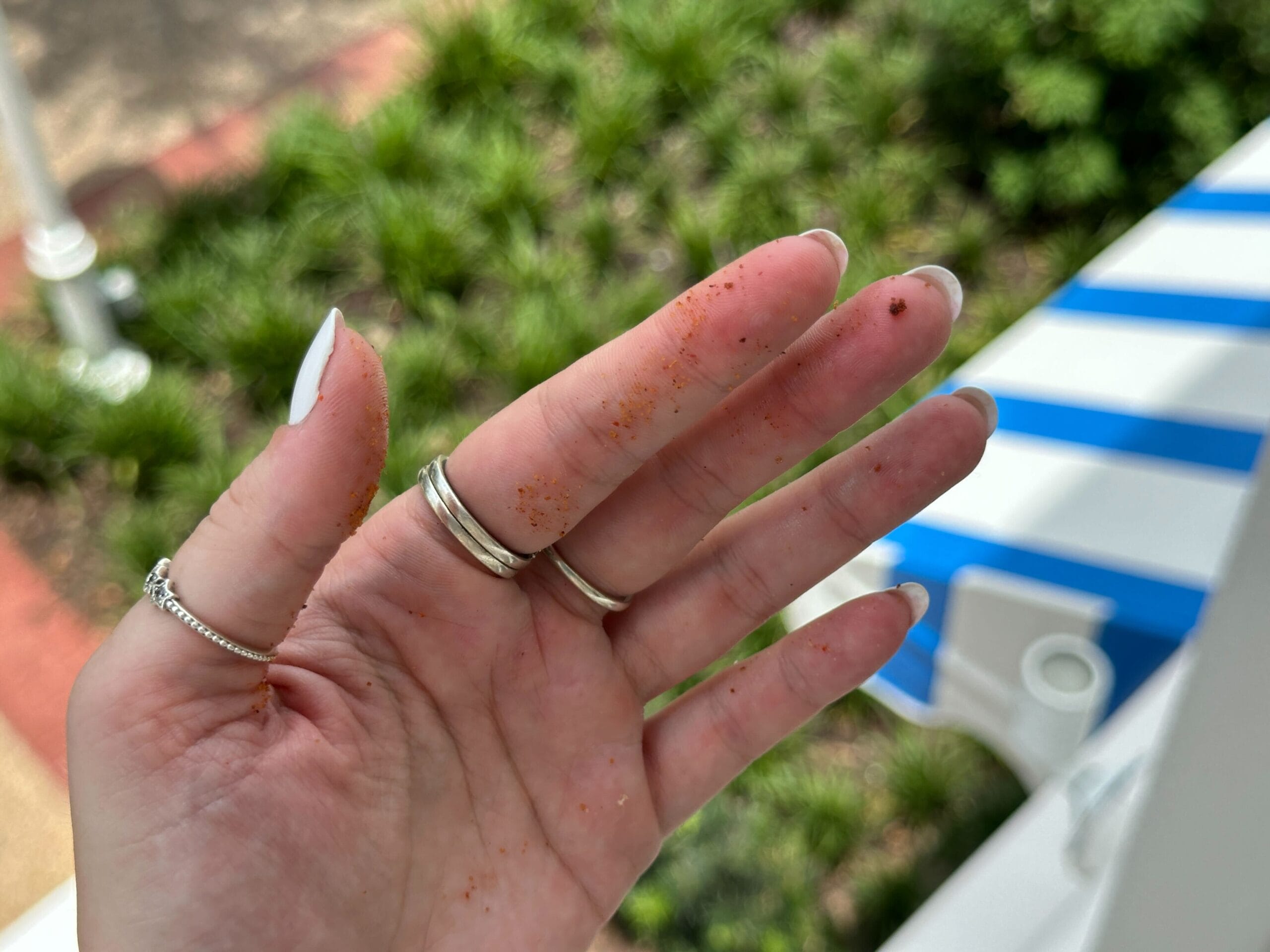 A hand with rings and white nails, sprinkled with Nashville Hot seasoning, held up outdoors near greenery.