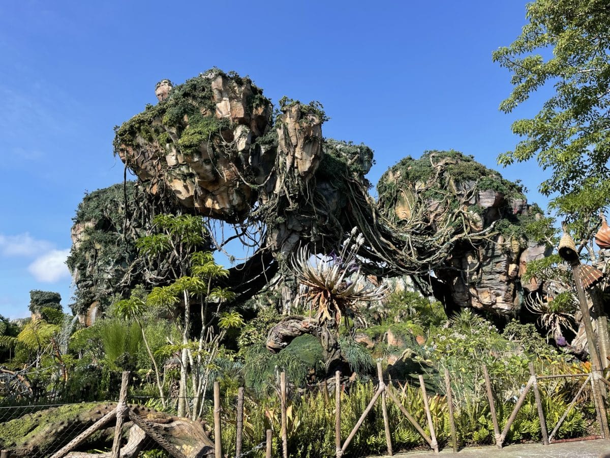 Large, floating, vine-covered rocks with lush greenery, Pandora at Walt Disney World.