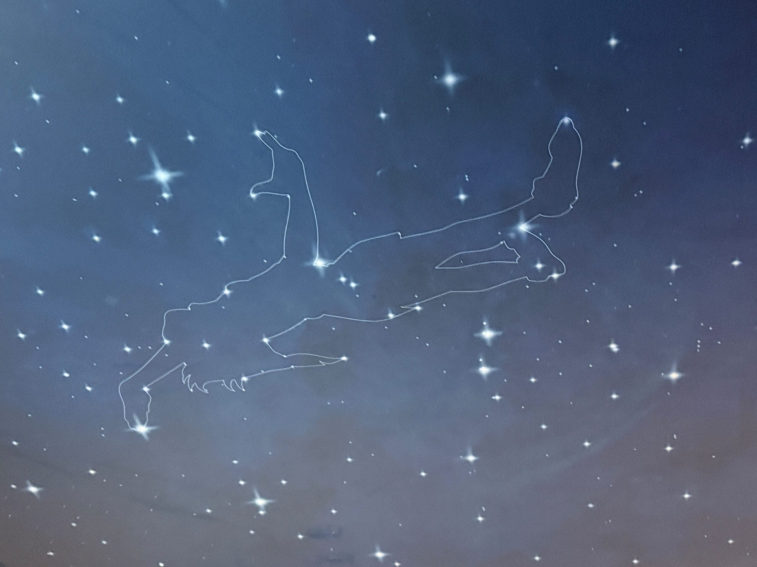 A starry night sky with a constellation outlined as a floating person, evoking a Disney dream among the stars.