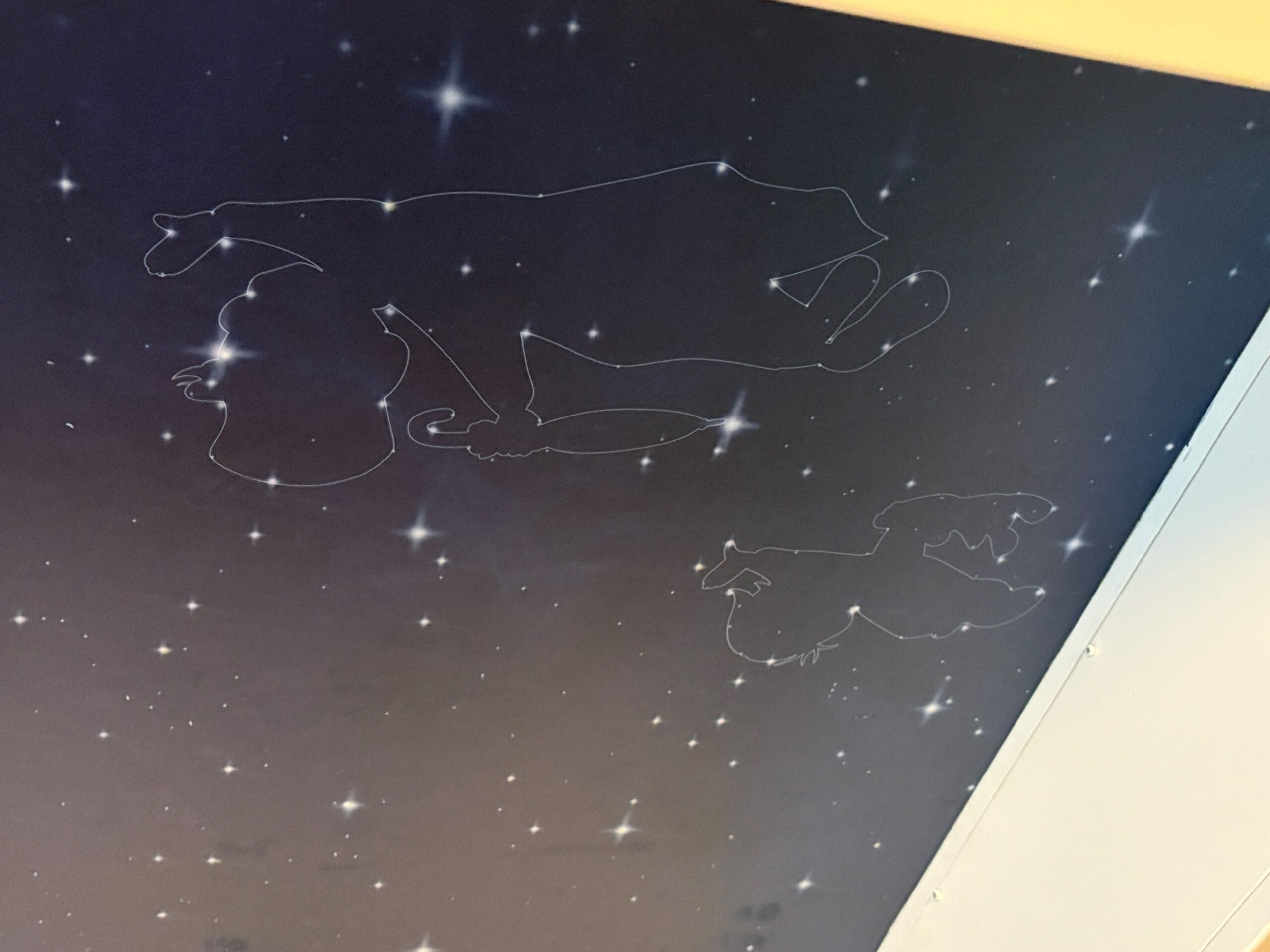 Faint white animal-shaped outlines and stars adorn a dark Disney Dream ceiling with a yellow border.