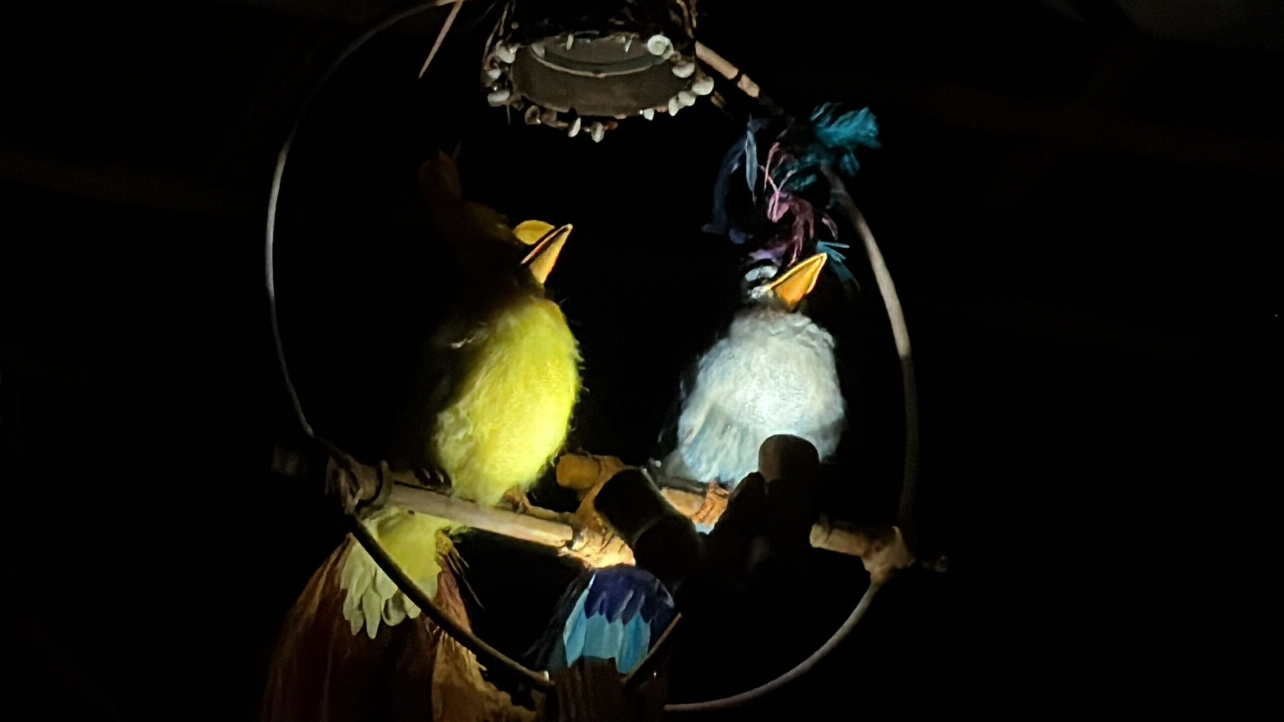 Two colorful artificial birds, one yellow and one blue, sit on a perch, illuminated against a dark background.