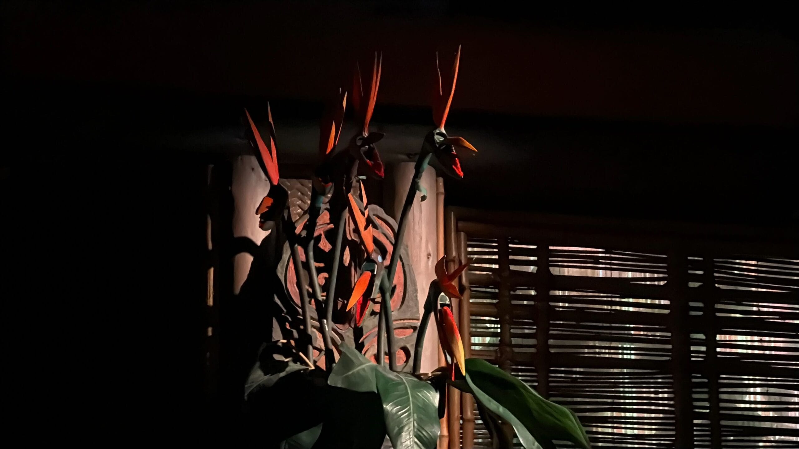Bird of paradise flowers with orange petals illuminated in a dark room, beside bamboo window blinds.