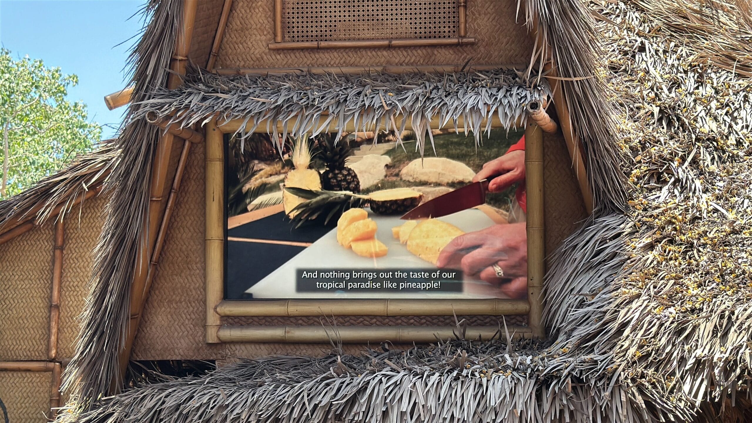 Hands slicing a pineapple on a screen at a thatched hut, celebrating the Enchanted Tiki Room reopening in tropical paradise.