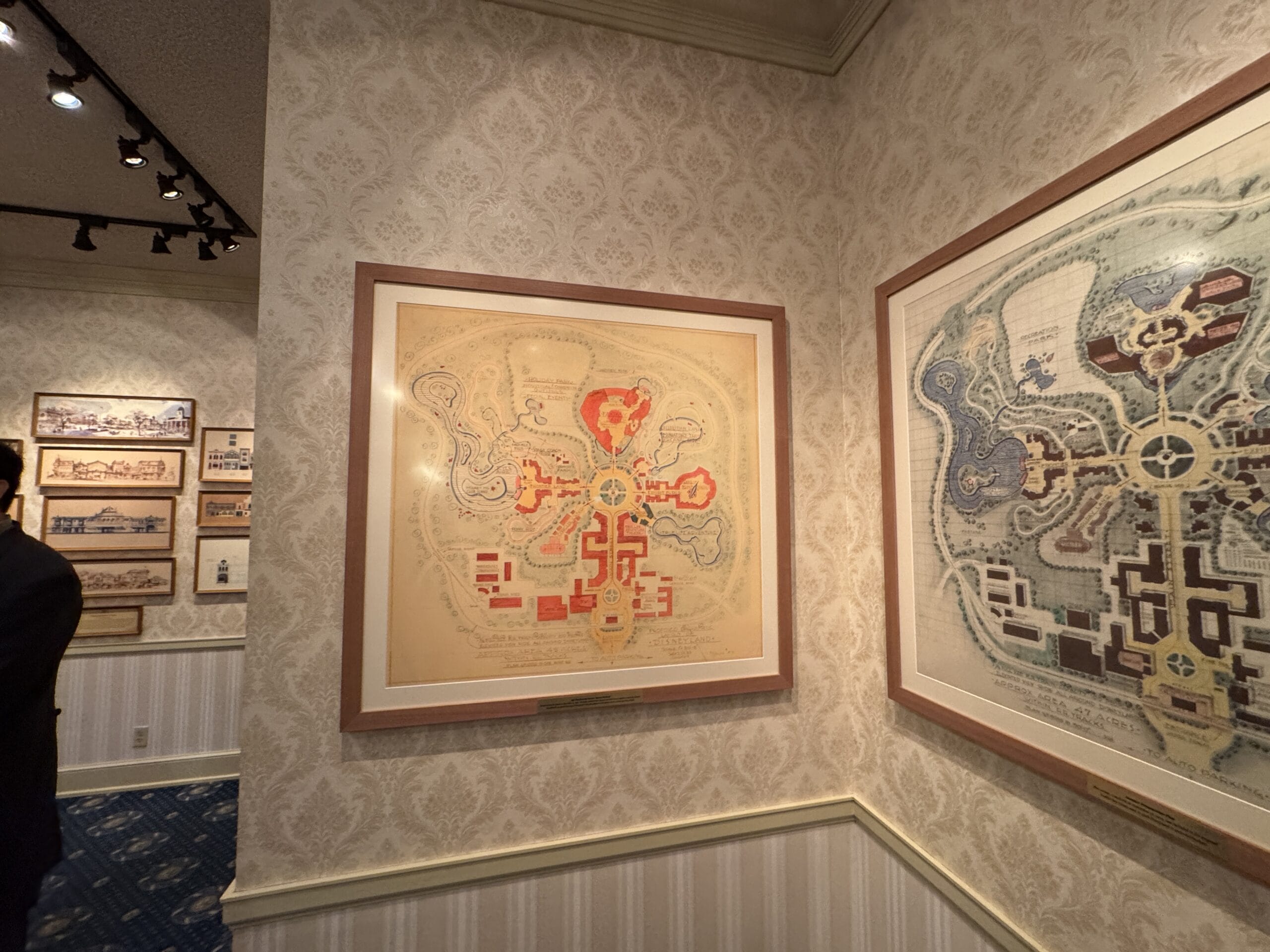 Framed vintage park maps and photos displayed on wallpapered walls in a gallery with new exhibits.