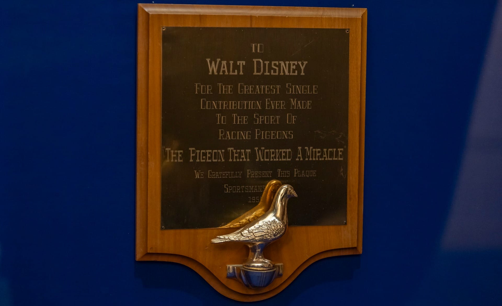 A plaque honoring Walt Disney for his contribution to racing pigeons is displayed at Disneyland’s Main Street Opera House.