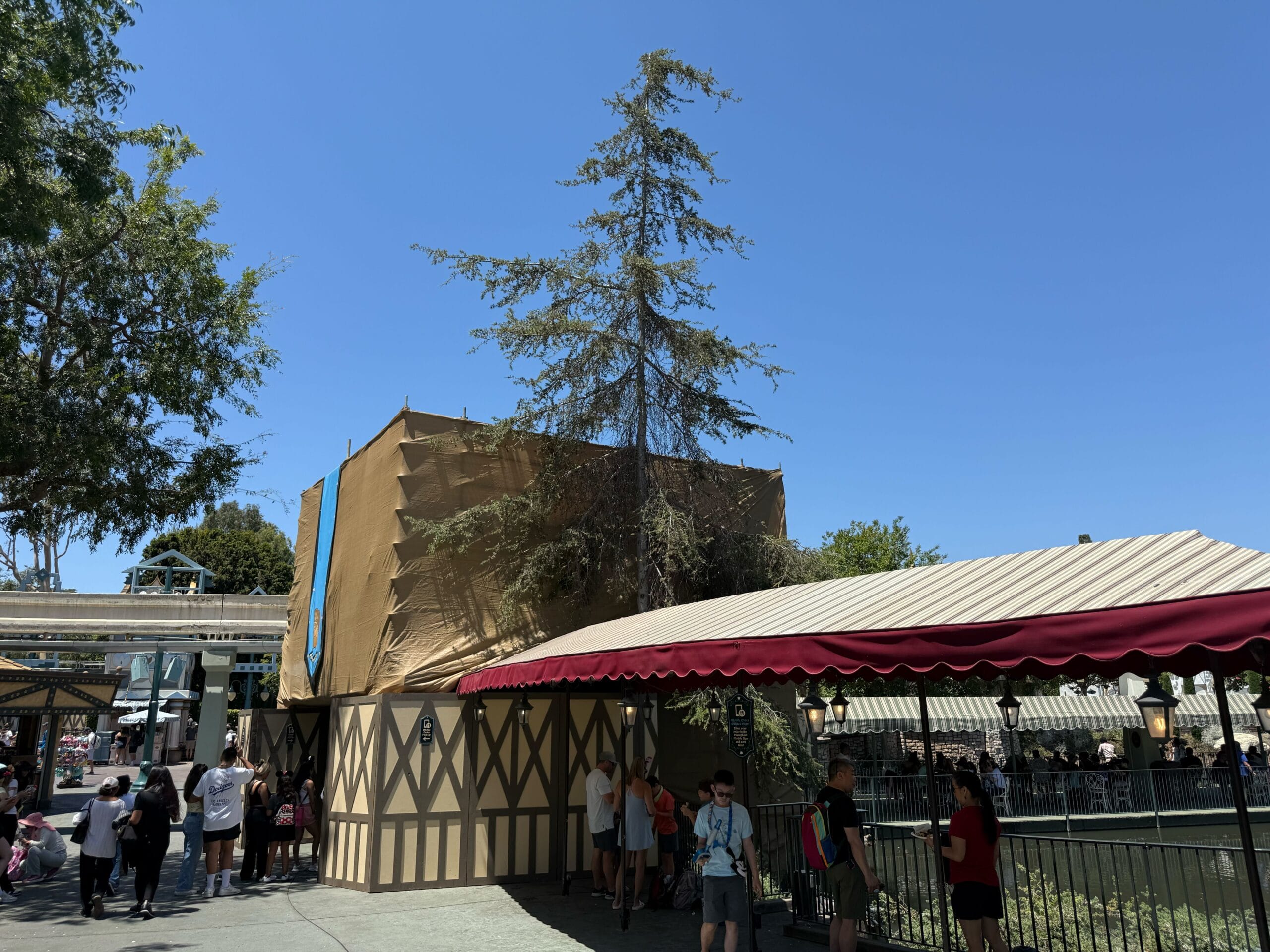 Decorative new construction with tan tarps, a tall tree, and people walking by on a sunny day.