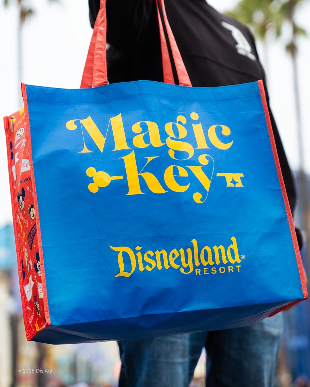 トートバッグ DISNEYLANDRESORT 70TH CELEBRATION Magic Key Exclusive: Disneyland 70th Anniversary Tote Bag