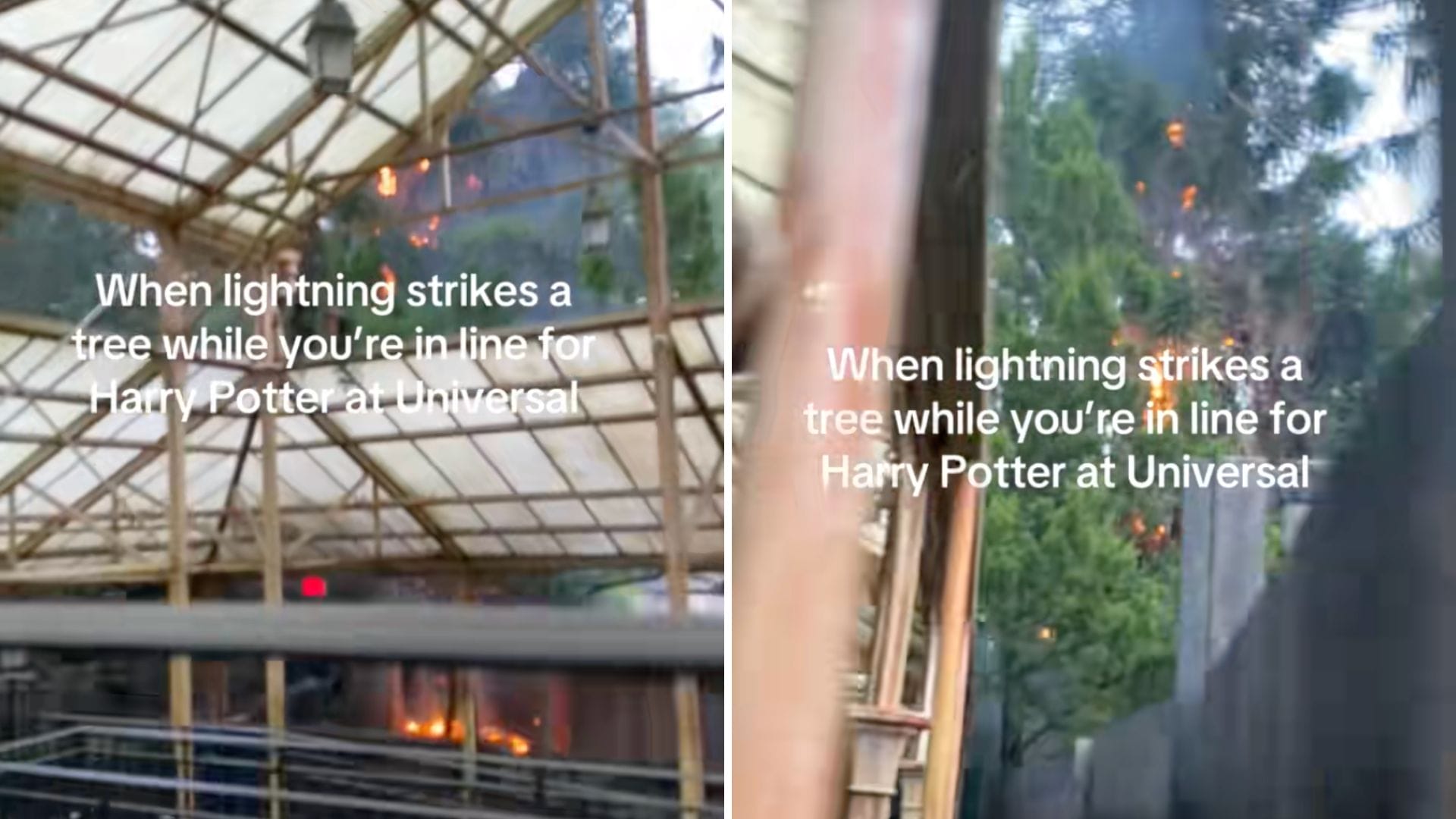 Fire burns in trees outside a glass roof as people wait for the Forbidden Journey ride at Universal Orlando.